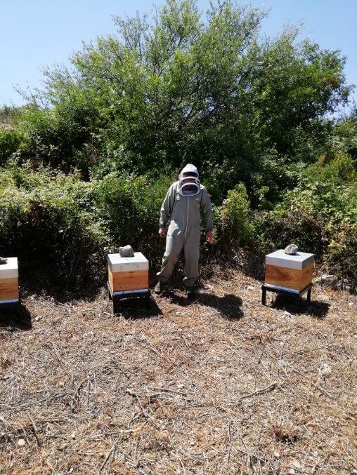 Réception des ruches Languedoc Granulats